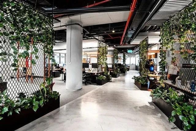 工业风绿色办公室设计