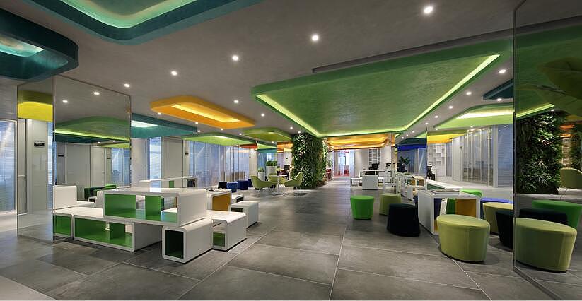 办公室旺财的六种风水植物