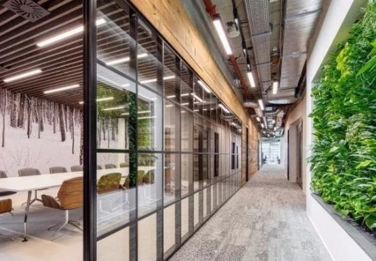 个性化办公室植物墙设计